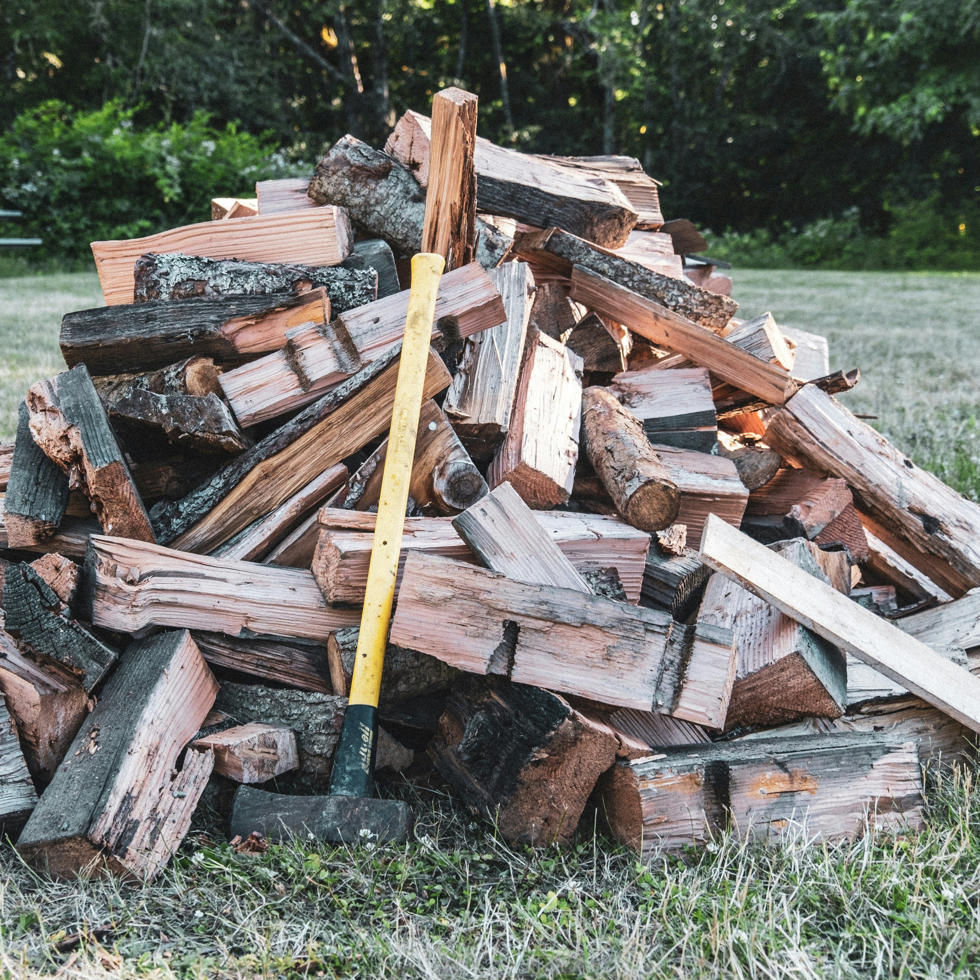 Hartholz Brennholz 50cm