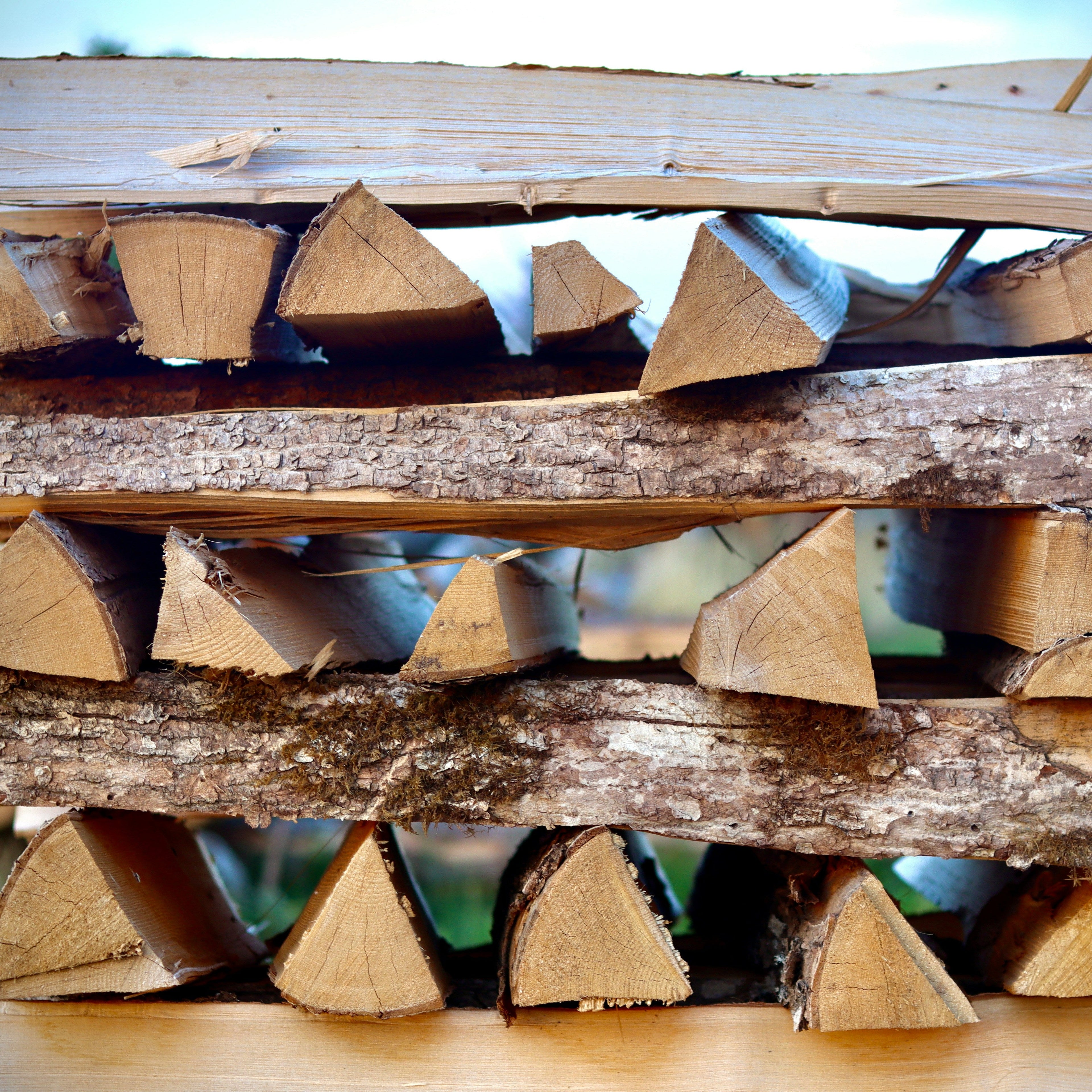 Kiefernbrennholz 33cm